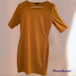 Haute Monde Bodycon Dress